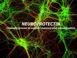 neuroprotectin-brain-health-support-memory-bioparanta